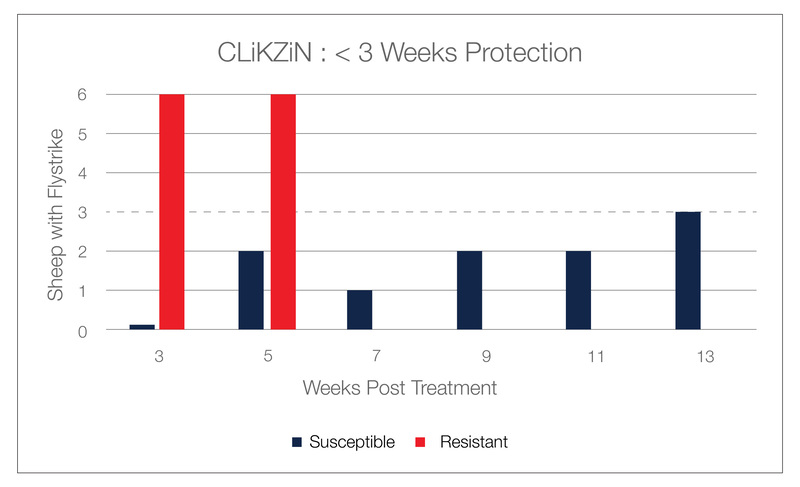 Clikzin 3 week