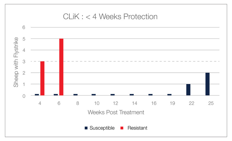 Clikzin 4 week