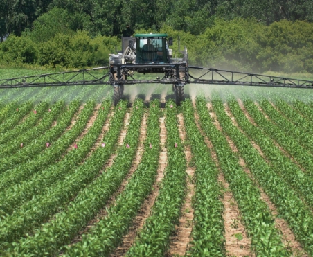 spraying corn